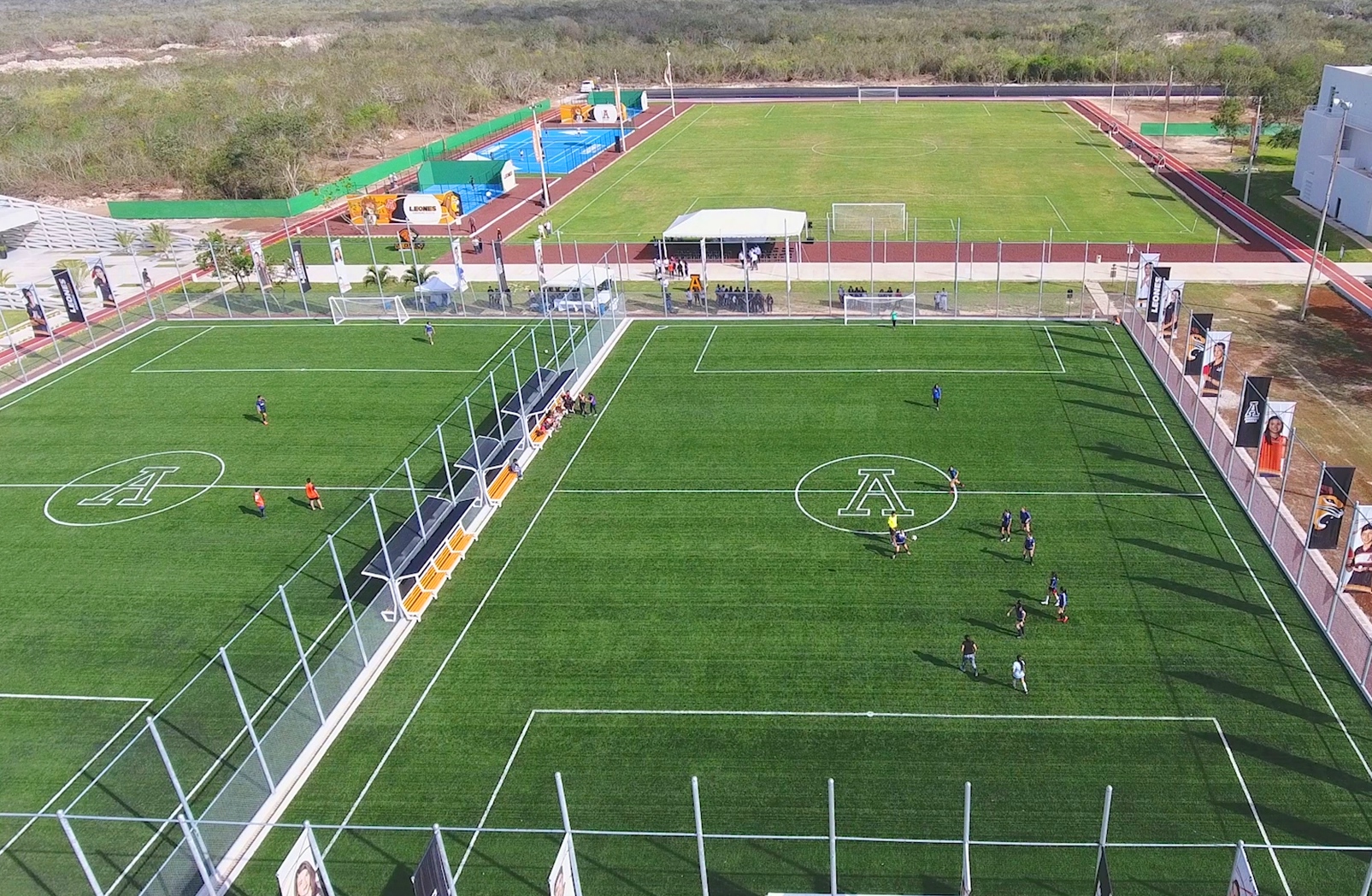 Canchas