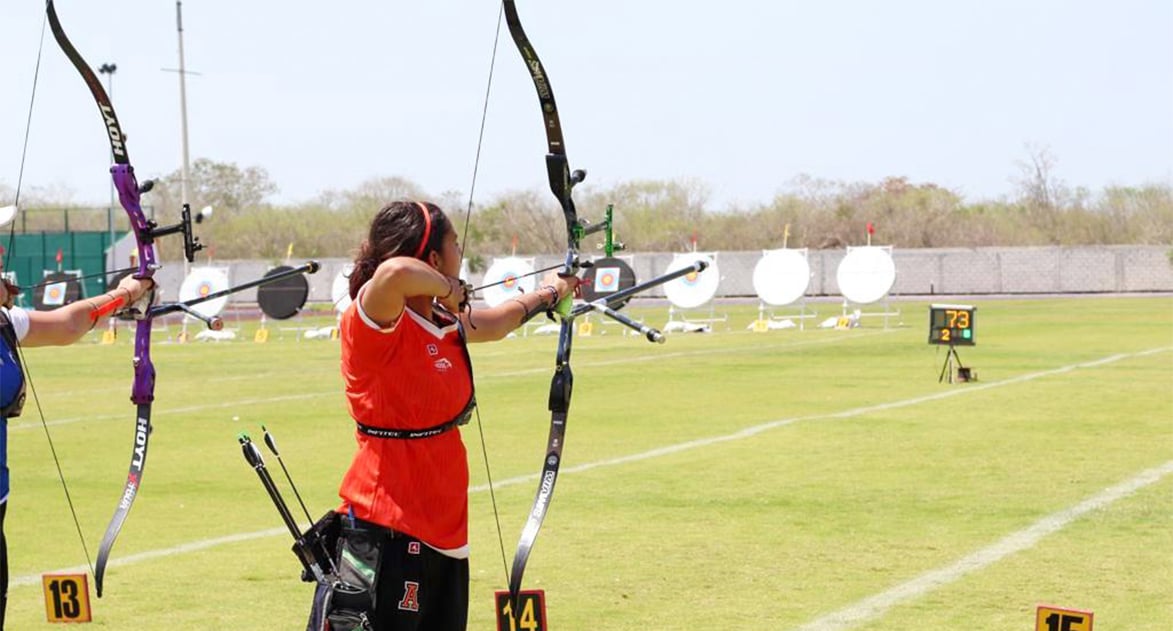 Header_SP_HS_arco_bronce